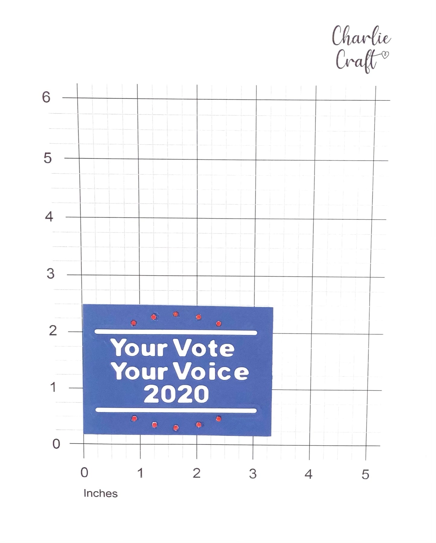 Your Vote, Your Voice