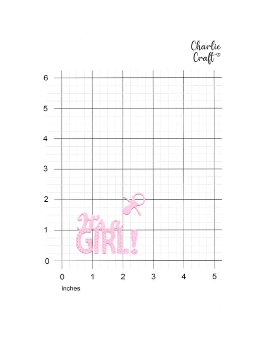 It's A Girl! - 4 piece set