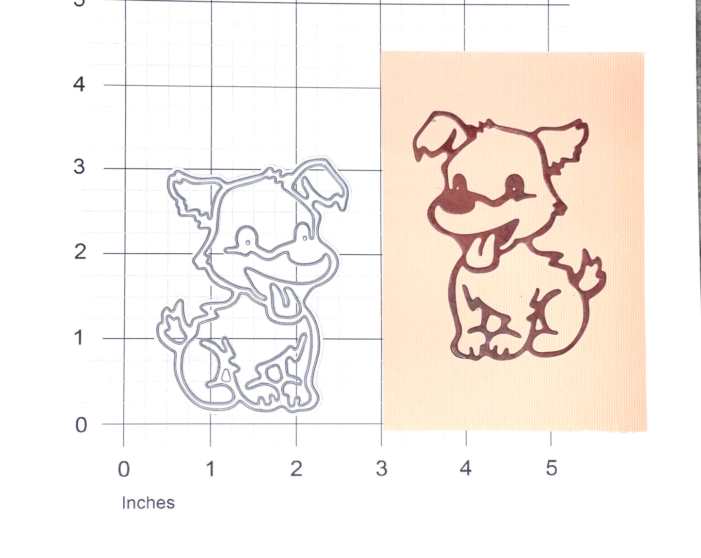 Puppy