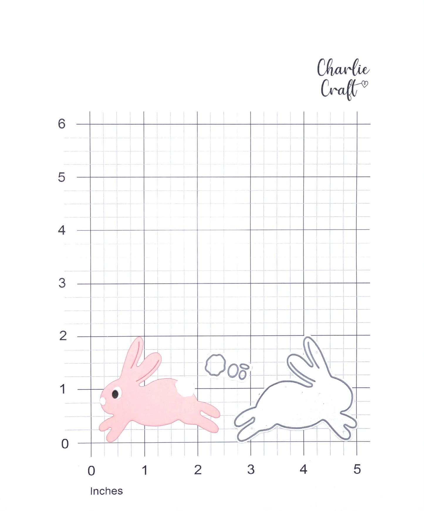 Little Pink Bunny