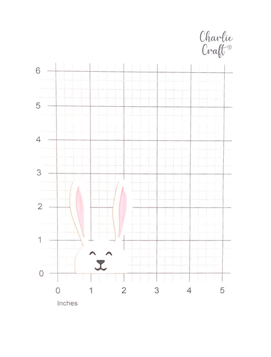 All Ears - 3 Piece Set